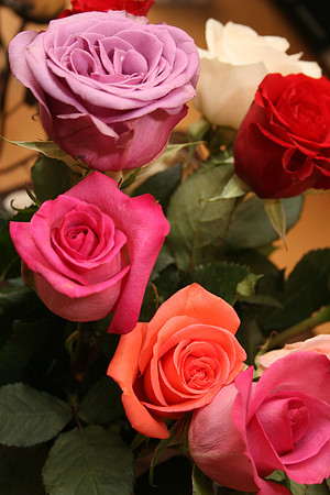 FrancesJohnWedding-A005